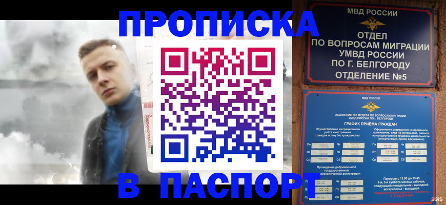 временная регистрация в Зее